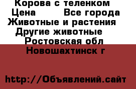 Корова с теленком › Цена ­ 69 - Все города Животные и растения » Другие животные   . Ростовская обл.,Новошахтинск г.